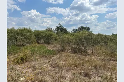 303 Walter Hoffman Road, Cedar Creek, TX 78612 - Photo 3