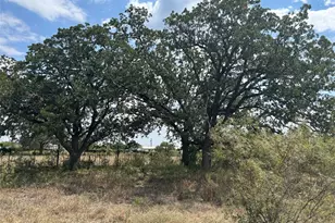 303 Walter Hoffman Rd, Cedar Creek, TX 78612 - Photo 1