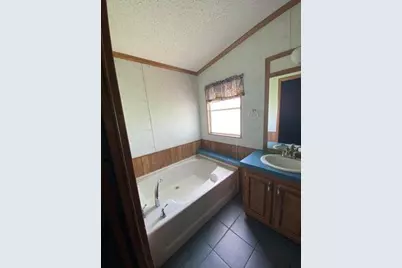 81 Roots Road, Martindale, TX 78655 - Photo 11