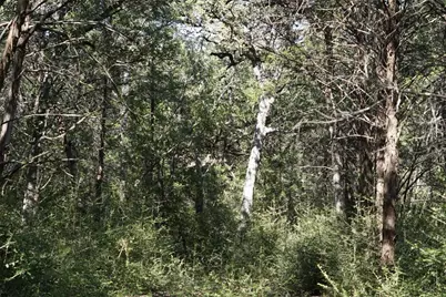 1135 Private Road 7039, Lexington, TX 78947 - Photo 23