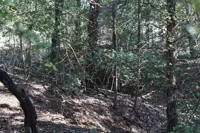 1135 Private Road 7039, Lexington, TX 78947 - Photo 13