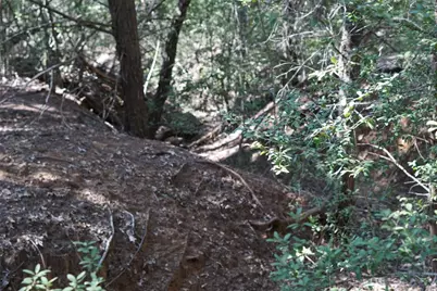 1135 Private Road 7039, Lexington, TX 78947 - Photo 15