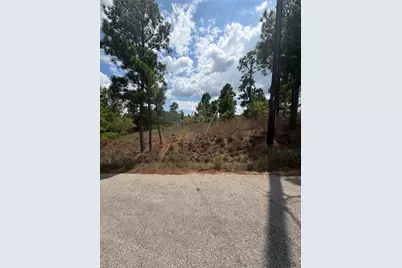 Lot 1189 Awehi Lane, Bastrop, TX 78602 - Photo 1
