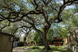 2100 Highgrove Terrace, Austin, TX 78703 - Photo 23