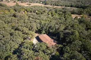 141 Morning Dove Ln, Elgin, TX 78602 - Photo 5