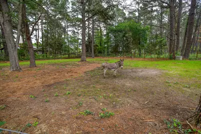 121 Pony Grass Lane, Bastrop, TX 78602 - Photo 37