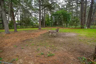 121 Pony Grass Ln, Bastrop, TX 78602 - Photo 37