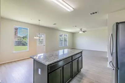 316 Pine Arbol, Buda, TX 78610 - Photo 9