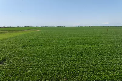 2866 County Road 425, Thorndale, TX 76577 - Photo 17