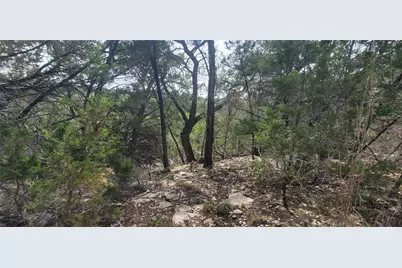 21003 Panhandle Cove, Lago Vista, TX 78645 - Photo 3