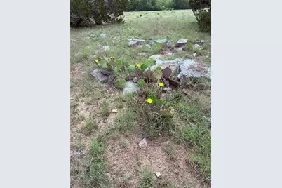 5341 Cr 236, Liberty Hill, TX 78642 - Photo 9