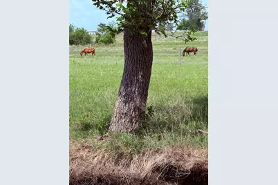 5341 Cr 236, Liberty Hill, TX 78642 - Photo 7