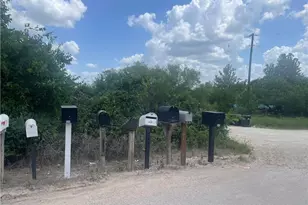 Lot 9 Misty Woods, Bertram, TX 78605 - Photo 3