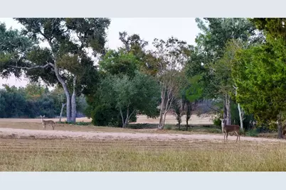 5801 Mount Gainor Road, Dripping Springs, TX 78620 - Photo 27