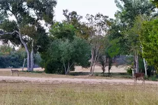 5801 Mount Gainor Rd, Dripping Springs, TX 78620 - Photo 27