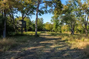 5801 Mount Gainor Rd, Dripping Springs, TX 78620 - Photo 35