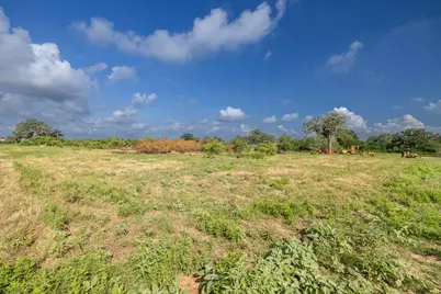 Lot 1-B County Road 491, Gonzales, TX 78629 - Photo 9