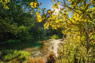 Tbd Fm 2843, Salado, TX 76571 - Photo 11