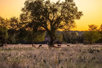 Tbd Fm 2843, Salado, TX 76571 - Photo 5