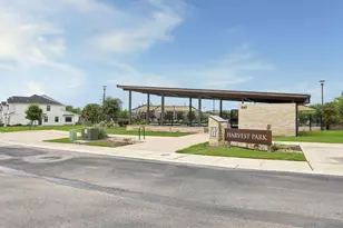 356 Fieldwood Dr, Buda, TX 78610 - Photo 29