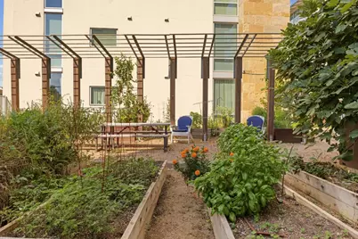 1600 Barton Springs Road #4205, Austin, TX 78704 - Photo 31