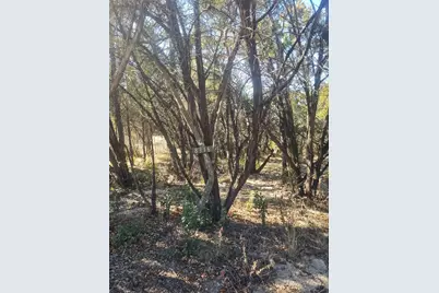 8316 Bronco Lane, Lago Vista, TX 78645 - Photo 5