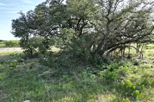 Lot 20 Serenity Dr, Bertram, TX 78605 - Photo 7