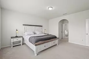 209 Mira Mesa Dr, Liberty Hill, TX 78642 - Photo 19