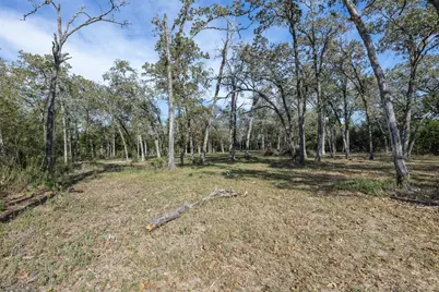 217 Timber Lake Drive, La Grange, TX 78945 - Photo 5