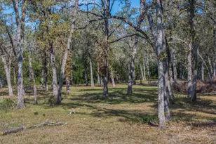 217 Timber Lake Dr, La Grange, TX 78945 - Photo 1