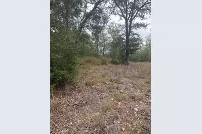 4 Lots Mokulua Mokuleia Circle, Bastrop, TX 78602 - Photo 7