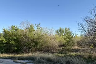 1250 Spanish Oaks Blvd, Lockhart, TX 78644 - Photo 5