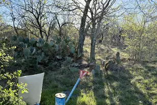 1250 Spanish Oaks Blvd, Lockhart, TX 78644 - Photo 3