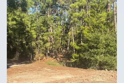 Tbd Pine Cone Drive, Bastrop, TX 78602 - Photo 7