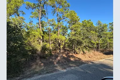 Tbd Pine Cone Drive, Bastrop, TX 78602 - Photo 3