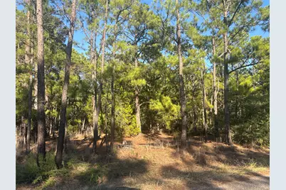 Tbd Pine Cone Drive, Bastrop, TX 78602 - Photo 5