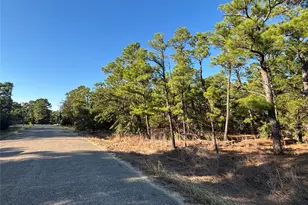 Tbd Pine Cone Dr, Bastrop, TX 78602 - Photo 1