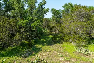 Lots 55-57 Shin Oak Drive, Lampasas, TX 76550 - Photo 25