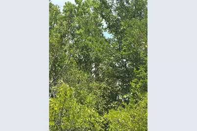 1500 Bottoms East Road, Troy, TX 76579 - Photo 13