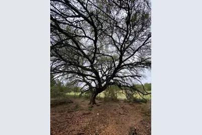 3101 Earhart Cove, Lago Vista, TX 78645 - Photo 7