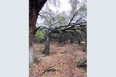 3101 Earhart Cove, Lago Vista, TX 78645 - Photo 5