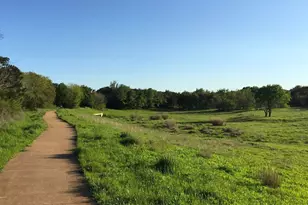 3511 Eldorado Trail, Austin, TX 78739 - Photo 37