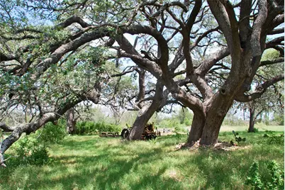 2725 Old Lehmann Road, Kingsbury, TX 78638 - Photo 25