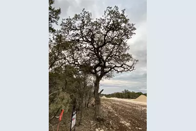 000 Pristine Trl/Pkwy, Canyon Lake, TX 78133 - Photo 7