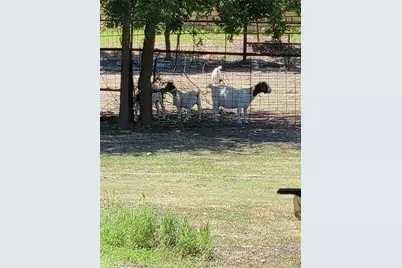 175 Sandoval Street, Buda, TX 78610 - Photo 35