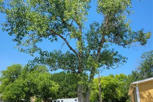 175 Sandoval St, Buda, TX 78610 - Photo 37