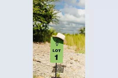 Lot 1 Sunset View Court, Johnson City, TX 78636 - Photo 3