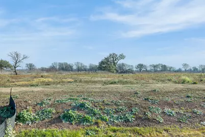 333 Quail Run Road, Martindale, TX 78655 - Photo 9