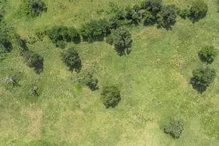 Tbd Cr 707A, Groesbeck, TX 76653 - Photo 11