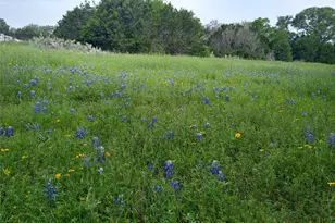75 Four T Ranch Rd, Georgetown, TX 78633 - Photo 29